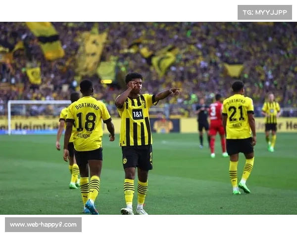 德甲球迷文化保护：传统 standing area 与安全矛盾